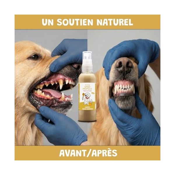 Spray Propolis Chien Chat - Gingivite Stomatite Hygiène Buccale - Propolis Pure sans Alcool - Cicatrisant Plaies Irritations 