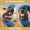 Spray Propolis Chien Chat - Gingivite Stomatite Hygiène Buccale - Propolis Pure sans Alcool - Cicatrisant Plaies Irritations 