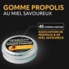HERBESAN®- GOMMES MIEL & PROPOLIS - Confort de la gorge - Fabrication française - Boîte métal - 45 gommes à mâcher Propolis