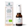 Ballot-Flurin - Spray Nomade Apaisant - Sans Alcool - À la Propolis Blanche - 15 ml - Ingrédients 100% Français biologique Pr...