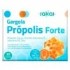 GARGOLA PROPOLIS FORTE 30comp mast. – préparation en comprimés pour une prise régulière, boîte de 30 comprimés, facile à inté
