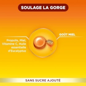 Forté Pharma - Pastilles Gorge Forté Royal - Irritation gorge - Propolis, Huile essentielle Eucalyptus, Miel, Vitamine C - Sa
