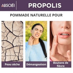 Absolei Pommade Propolis, Pommade Naturelle à 30% Propolis pour les Démangeaisons, la Peau Sèche et Craquelée, 40 ml