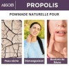 Absolei Pommade Propolis, Pommade Naturelle à 30% Propolis pour les Démangeaisons, la Peau Sèche et Craquelée, 40 ml