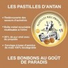 Lot 10 boites Miel Propolis Pastilles Saint-Ange Bonbons Traditionnels 100% Français Miel Propolis