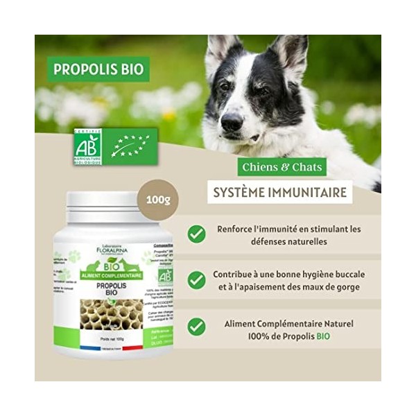 Floralpina - Propolis Bio 100g pour Chien et Chat - Hygiène buccale, Stimulation des défenses immunitaires, cicatrisation des