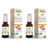 Un Spray Buccal Propolis Verte & Echinacée - Maux de gorge - Défense immunitaires - 100% naturel - Certifié Biologique - 15 m...