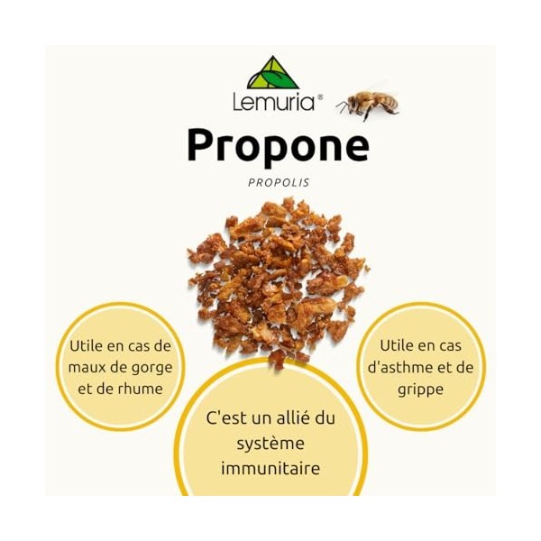 Lemuria - PROPOLONE Extrait Total - Pour le Bien-être de la Gorge et de la Voix - 100 ml - Complément Alimentaire 100% Nature