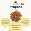 Lemuria - PROPOLONE Extrait Total - Pour le Bien-être de la Gorge et de la Voix - 100 ml - Complément Alimentaire 100% Nature