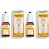 HerbalGem - Propolis Large Spectre Spray Bio - Dès sensation d’un refroidissement – 15 ML Lot de 2 Propolis