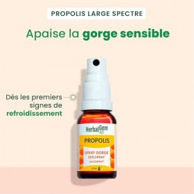 HerbalGem - Propolis Large Spectre Spray Bio - Dès sensation d’un refroidissement – 15 ML Lot de 2 Propolis