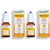 HerbalGem - Propolis Large Spectre Spray Bio - Dès sensation d’un refroidissement – 15 ML Lot de 2 Propolis