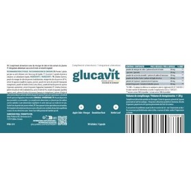 Glucavit Capsules | Convient pour un style de vie sain | Capsules faciles à prendre | Contenu 90 capsules