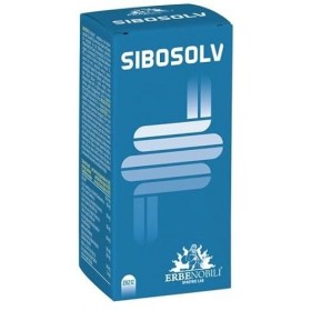 Sibosolv 60 gélules acidorexistantes