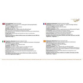 Vita World Pack de 3 Racine de cardère extrait 500mg 3 x 100 Capsules Made in Germany