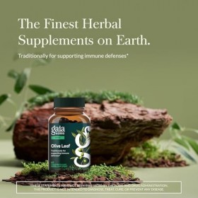 Single Herbs - Olive Leaf 60 vcaps