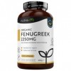 Fenugrec Bio 2250mg par dose de 3 Capsules, jusquà 8 mois dApprovisionnement - 240 Fenugrec Gelule Véganes - 1-3 Capsules p