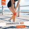 GRANIONS CHONDROSTEO+ MAX COLLAGENE 225g, Collagene et Acide Hyaluronique + Curcuma + Boswellia - Articulations, Muscle, Tend