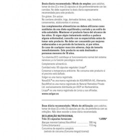 Brain Works avec le curcuma à spectre complet et BacoMind 60 capsules végétales