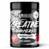 Warrior Créatine Monohydrate Poudre Micronisée – Supplément Sportif pour Musculation, Force et Récupération – 500 g, Portion 