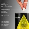 L Carnitine 2000mg - 200 Comprimés Pre Workout - Energie, Résistance et Récupération Musculaire - Haute Dose Extra Fort 2932m