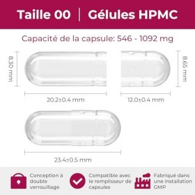 ATLEMISME Capsules Vides en Gélatine - Taille 00, Lot de 100 - Qualité Premium, Dissolution Rapide, Idéales pour Suppléments ...