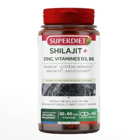 Shilajit - Complexe Acide fulvique B6 D3 Zinc - Energie, immunité & concentration - 60 gélules