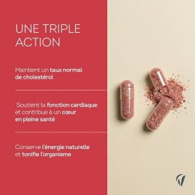 Vitavea Bien-Être – Complément Alimentaire Cholesterol – Ail noir, Coriandre, Q10 Coenzyme, Vitamine B9 – Taux Normal de Chol