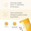 Complexe Immunité & Energie - 17 vitamines & minéraux + Shiitaké, Gelée Royale et Échinacée - 30 gélules cure 1 mois - Fabr