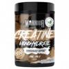Warrior Créatine Monohydrate Poudre Micronisée – Supplément Sportif pour Musculation, Force et Récupération – 500 g, Portion 