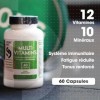 Multivitamines – Complexe 12 Vitamines, 8 Minéraux – Énergie, Immunité, Récupération – Réduction de la Fatigue, Protection Ce