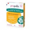 PROPOLIA - Coffret Cadeau - Coffret Douceurs de lapiculteur - Gommes de propolis 3 saveurs - Miel - Eucalytpus - Gingembre &
