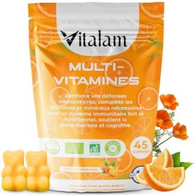 VITALAM Gummies Multivitamines en sachet – Gummies Multivitamines et Minéraux, Vitamines A,B,C,D,E,B6,B12 - Vitamines Essenti...