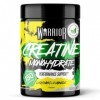 Warrior Créatine Monohydrate Poudre Micronisée – Supplément Sportif pour Musculation, Force et Récupération – 500 g, Portion 