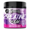 Warrior Créatine Monohydrate + EAA 270 g – 30 Portions – Supplément Sportif pour Force, Récupération et Soutien Musculaire – 