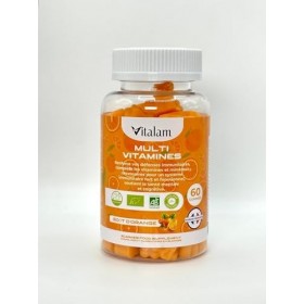 VITALAM Gummies Multivitamines – Gummies Multivitamines et Minéraux, Vitamines A,B,C,D,E,B6,B12 - Vitamines Essentiels pour A