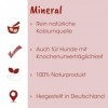 cdVet Fit-BARF Mineral 600 g