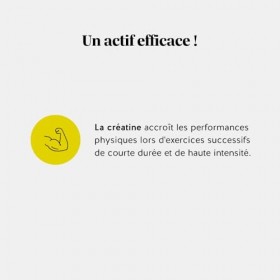Gummies Créatine 3000mg - Daily Essentials - Performance Physique - Créatine Monohydrate - 60 Pièces 1 mois - Sans Sucre, V