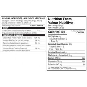 Believe Supplements Performance Fuel Lemon Lime 580 g