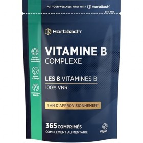 Vitamine B Complex | 365 Micro-Comprimés Vegan pour 1 An | Complexe de Vitamine B1, B2, B3, B6, B12 Acide Folique et Choline 