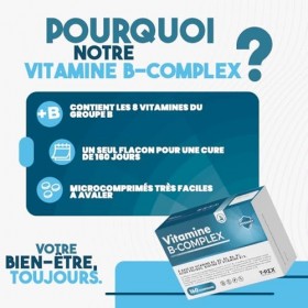 T-Rex Integratori, Vitamine B Complexe 160 Comprimés Vegan 5 Mois dApprovisionnement - Haute Dose de Vitamine B12, Acide F