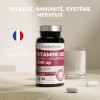 Santarome - Vitamine B12 Méthylcobalamine 1000 µg – Vitalité, Immunité & Système Nerveux – Avec Vitamines B2 B3 B6 B9 & Magné
