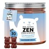 Zen Soyons Zen – Gummies avec 85mg dAshwagandha – Stress et Détente – Complexe B avec vitamines B12, B1, B2 et B6, L-théanin ...