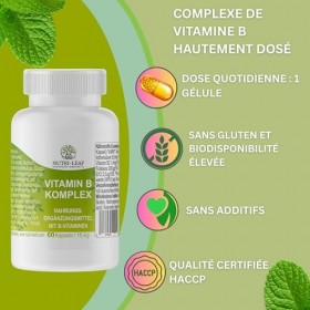 Complexe de vitamine B hautement dosé avec B12 B6 acide folique B1 et toutes les 8 vitamines B pour lénergie nerveuse perfor