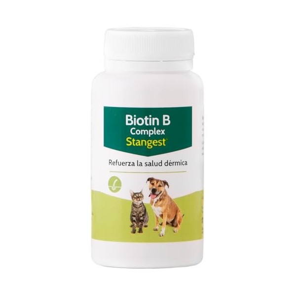 Stanvet 160222 Complexe Biotine B - 100 Comprimés