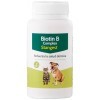 Stanvet 160222 Complexe Biotine B - 100 Comprimés