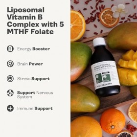 Youth & Earth Liposomal Vitamin B Complex with 5-MTHF Folate 250ml Mango and Orange Flavour - Energy Booster - Stress Support