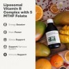 Youth & Earth Liposomal Vitamin B Complex with 5-MTHF Folate 250ml Mango and Orange Flavour - Energy Booster - Stress Support