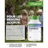 Vitamine B1 Thiamine - 250 mg - 365 Comprimés - Premium : Thiamine Hydrochloride - Haute biodisponibilité - Réserve de 12 m