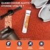 ALVITYL HYDRINK VITALITE – Electrolytes - Hydratation – Energie, Immunité - Vitamines C, B1, B6, B12 – Gout Pêche – 20 compri